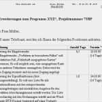 Pflichtenheft Vorlage Pdf Süß Beschaffung