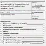 Pflichtenheft Vorlage Word Best Of Projektideen Projektanträge Projektaufträge