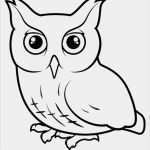 Photo Booth Vorlagen Zum Ausdrucken Kostenlos Erstaunlich Eule 11 Malvorlagen