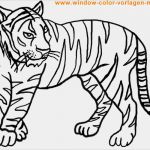 Photo Booth Vorlagen Zum Ausdrucken Kostenlos Schönste Ausmalbilder Dschungeltiere Kostenlos Malvorlagen Zum