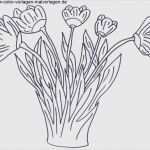 Photo Booth Vorlagen Zum Ausdrucken Neu Bilder Zum Ausdrucken Kostenlos Kinderbilder Download