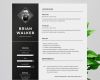 Photoshop Bewerbung Vorlage Angenehm 60 Plantillas Profesionales De Cv Para Ms Word