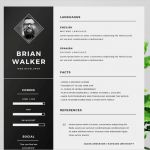 Photoshop Bewerbung Vorlage Angenehm 60 Plantillas Profesionales De Cv Para Ms Word