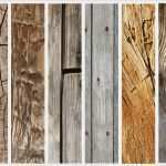 Photoshop Hintergrund Vorlagen Gut Kostenlose Holz Texturen Psd Tutorial Für Shop