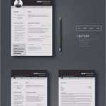 Photoshop Lebenslauf Vorlage Cool Jeremy Michaelson Government Resume Template