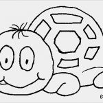 Php Vorlagen Best Of Vorlagen