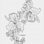 Php Vorlagen Großartig Vorlagen