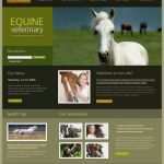 Php Website Vorlage Großartig Website Vorlage Für Pferd