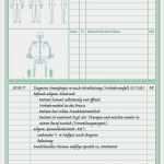 Physiotherapie Befund Vorlage Cool Befund Und therapiedokumentationsbogen Praxisbedarf