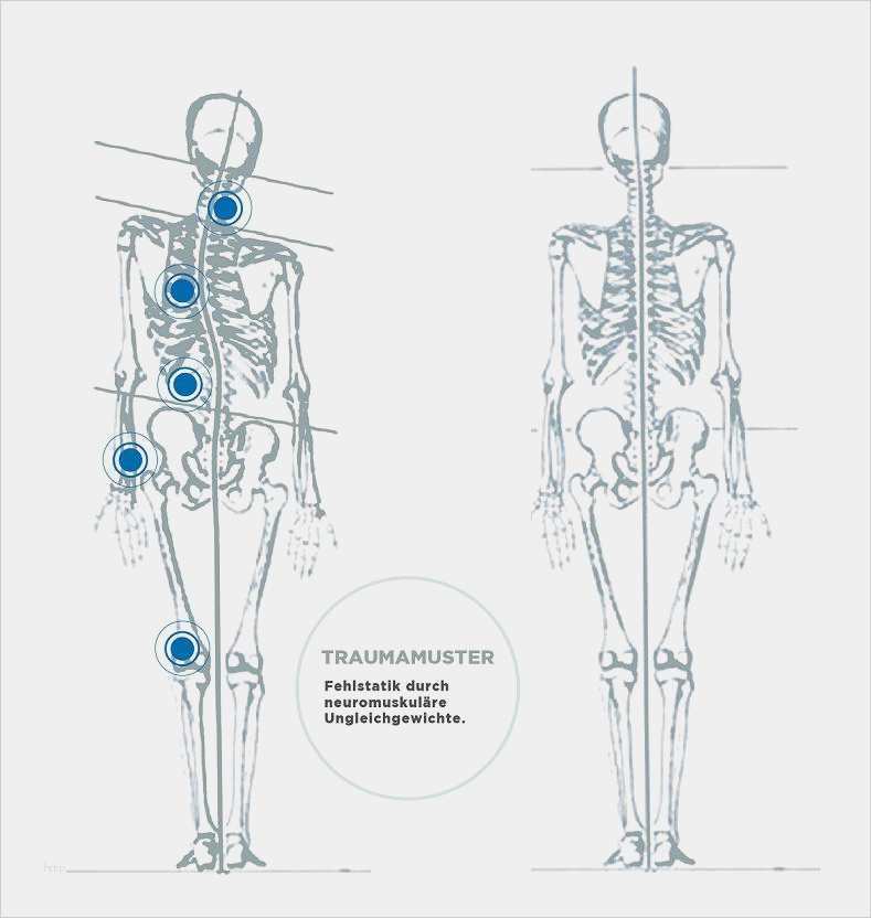 Schönste Physiotherapie Befund Vorlage Galerie  siwicadilly.com