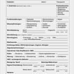 Physiotherapie Befund Vorlage Inspiration therapiematerial Zum thema Anamnese therapiematerial