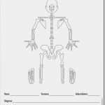 Physiotherapie Befund Vorlage Schön Befundblatt Mt Mann 1 Block à 40 Blatt Din A5