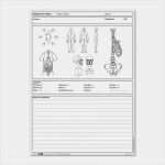 Physiotherapie Befund Vorlage Schönste Einlegeblatt Für therapeuten Und Osteopathen