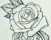 Pik as Tattoo Vorlage Best Of Bildergebnis Für Rose Tattoo In N
