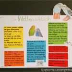 Plakat Gestalten Schule Vorlage Einzigartig sonniges Klassenzimmer Projekt "haustiere"