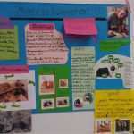 Plakat Gestalten Vorlage Wunderbar Plakat Gestalten Grundschule Ej23