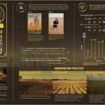 Plakat Layout Vorlagen Einzigartig Großartig Vorlagen Für Wissenschaftliche Poster Bilder