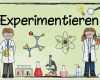 Plakate Schrift Vorlagen Elegant Ideenreise themenplakat "experimentieren"