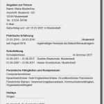 Planet Beruf Bewerbung Vorlage Cool Arbeitsblatt so Geht Ein Lebenslauf Beruf