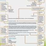 Planet Beruf Bewerbung Vorlage Cool Planet Beruf Lebenslauf Lebenslauf 2017