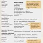 Planet Beruf Bewerbung Vorlage Großartig 12 Beispiel Muster Lebenslauf Planet Beruf Interview
