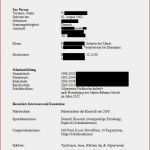 Planet Beruf De Lebenslauf Vorlage Erstaunlich Bewerbung Ausbildung 2 forumla