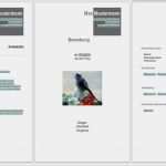 Planet Beruf Deckblatt Vorlage Hübsch Bewerbungsvorlagen Word 2010