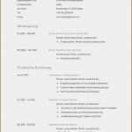 Planet Beruf Lebenslauf Vorlage Erstaunlich 15 Lebenslauf Beruf Vorlagen123 Vorlagen123