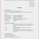 Planet Beruf Lebenslauf Vorlage Gut 15 Lebenslauf Beruf Vorlagen123 Vorlagen123