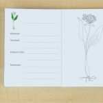 Planeten Steckbrief Vorlage Cool Arbeitsheft Wildkräuter Wunderwerkstatt