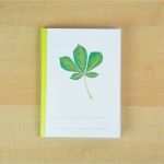 Planeten Steckbrief Vorlage Fabelhaft Arbeitsheft Laubgehölze Wunderwerkstatt