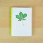 Planeten Steckbrief Vorlage Inspiration Arbeitsheft Laubgehölze Wunderwerkstatt