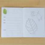 Planeten Steckbrief Vorlage Süß Arbeitsheft Laubgehölze Wunderwerkstatt