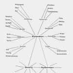 Planung Kindergarten Vorlage Wunderbar Der Ablauf Von Projekten