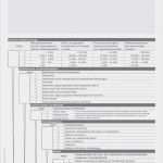 Plausibilitätsprüfung Rezeptur Vorlage Hübsch Risikobeurteilung Defekturarzneimittel Block Mit 50 Blatt