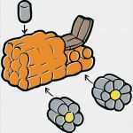 Playmais Mosaic Vorlagen Schönste Playmais Traktor