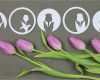 Plotter Vorlagen Freebie Genial Tulpen [plotter Freebie] – Kugelig