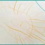 Plüschtier Nach Eigener Vorlage Schönste “das Monstertierchen” – Draw Your Cuddle