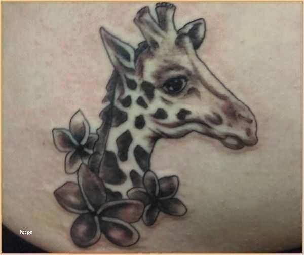 Po Tattoo Vorlagen Elegant Tattoo Vorlagen Für Anfänger Gute Henna
