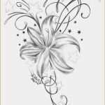 Po Tattoo Vorlagen Fabelhaft Tattoo Vorlagen Für Anfänger Der Beste 1001 Tattoo Sterne