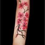 Po Tattoo Vorlagen Fabelhaft Tattoovorlage Kirschblüte