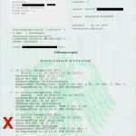 Polizeiliches Führungszeugnis Vorlage Großartig Kölner Nazi Justiz Liefert Weitere Beweise Der