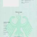 Polizeiliches Führungszeugnis Vorlage Hübsch Needs4life