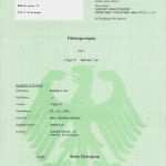 Polizeiliches Führungszeugnis Vorlage Wunderbar Führungszeugnis 2007