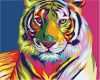 Pop Art Bilder Vorlagen Erstaunlich Frameless Colorful Tiger Animals Diy Painting by Numbers