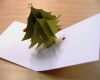 Pop Up Vorlagen Zum Ausdrucken Wunderbar Steffies Hexenhaus Pop Up Weihnachtsbaum Karte Mit Link