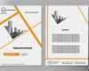 Portfolio Erstellen Vorlage Fabelhaft Minimale Flyer Bericht Business Magazin Plakat Layout