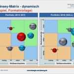 Portfolio Excel Vorlage Großartig Mckinsey Portfolio Excel Vorlage – De Excel