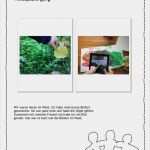 Portfolio Schule Vorlage Wunderbar Die Besten 25 Portfolio Kindergarten Ideen Auf Pinterest