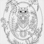 Portfolio Vorlagen Zum Ausdrucken Genial Schön Malvorlagen Der Krippe Galerie Druckbare